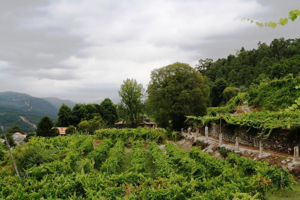 Country house Quinta Da Pousadela - *