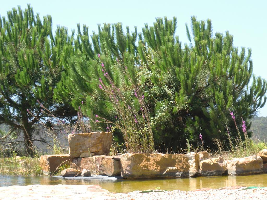 Country house Montes De Baixo *