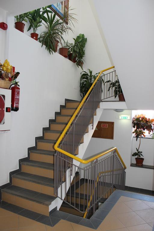 Guest house Dom Fernando I *