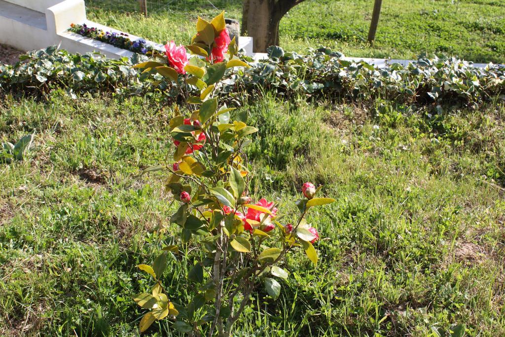 Farm stay Quinta Do Cerquito