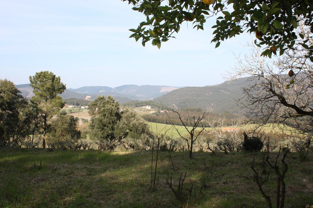 Quinta Do Cerquito Ferreira do Zezere