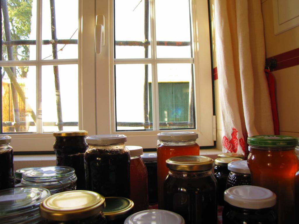 Farm stay Quinta Do Cerquito