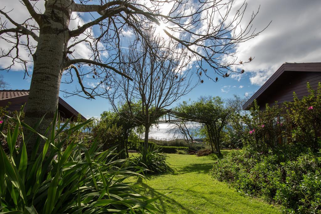 Farm stay Quinta Dos Curubas *