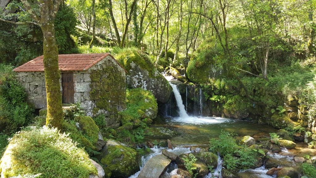 Douro Senses - Nature House
