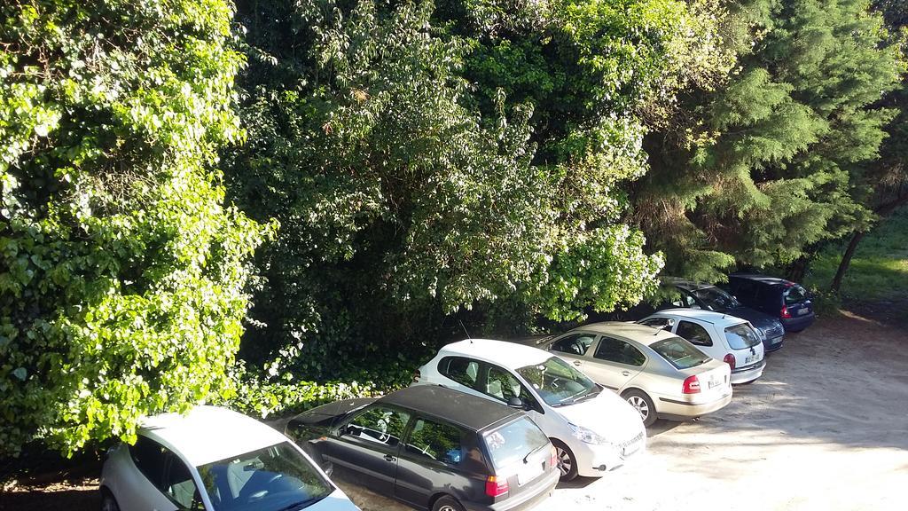 Guest house Corredoura Garden 3*