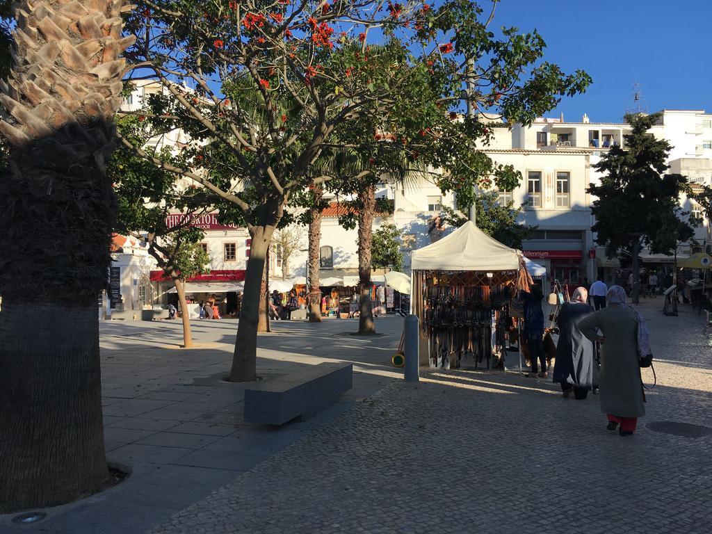 Terras Novas