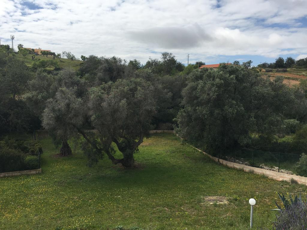 Holiday home Terras Novas