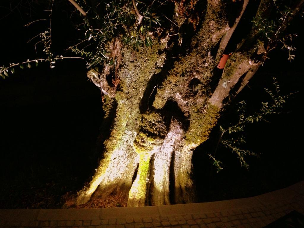 Otium Alvorge
