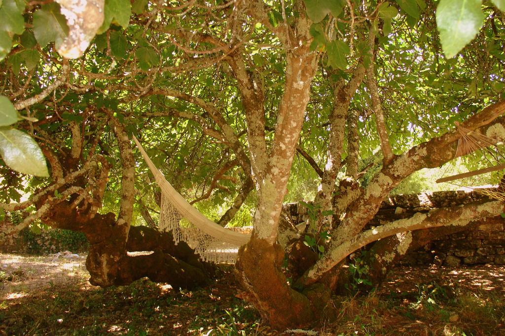 Otium