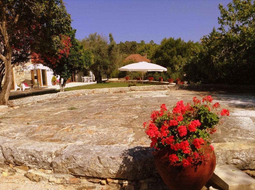 Country house Otium *