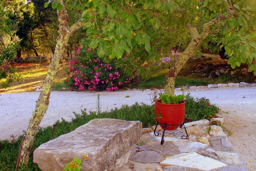 Country house Otium Alvorge