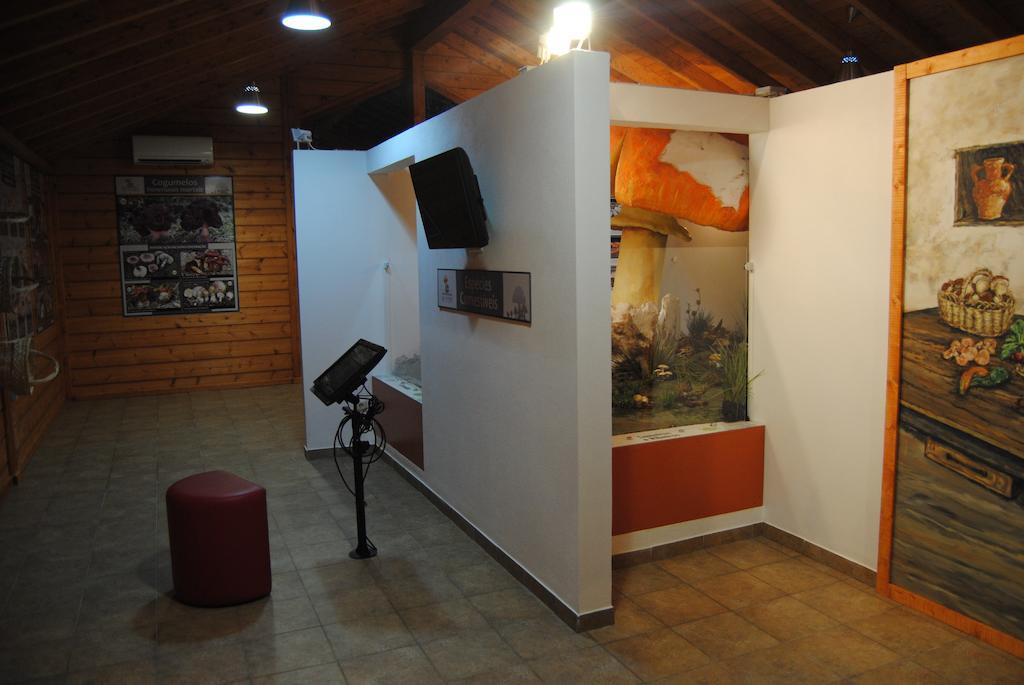 Campsite Parque Biologico De 3*