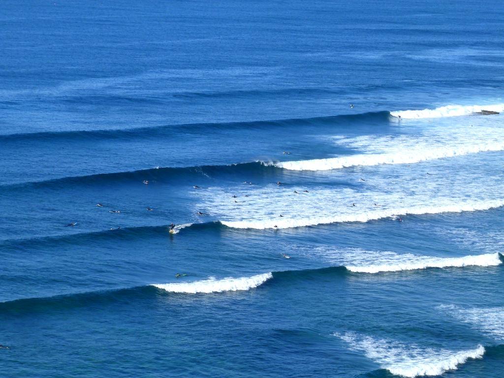 Omassim Ericeira