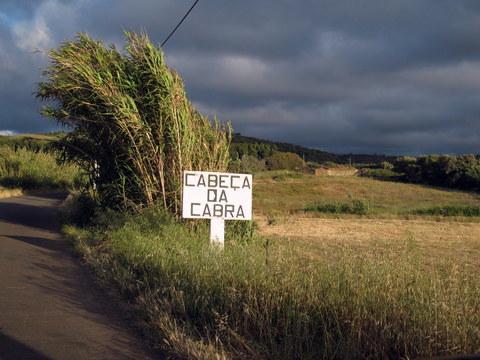 Country house Cabra - Porto Covo