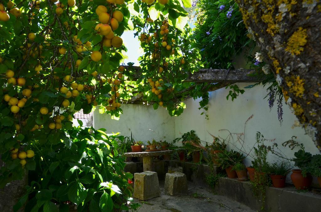 Villa Casa Do Sobral *