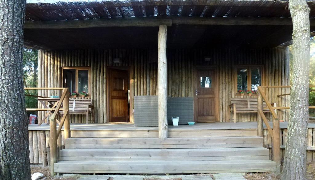 Farm stay Setequintas