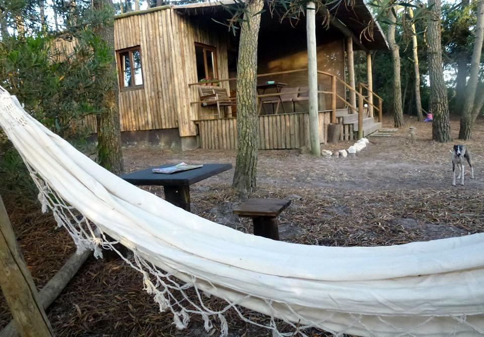 Farm stay Setequintas *
