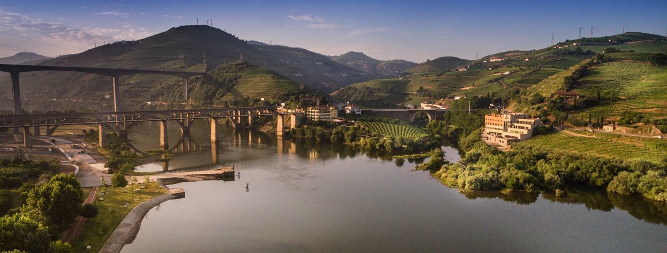 Gale Collection Douro