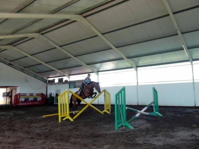 Farm stay Setequintas