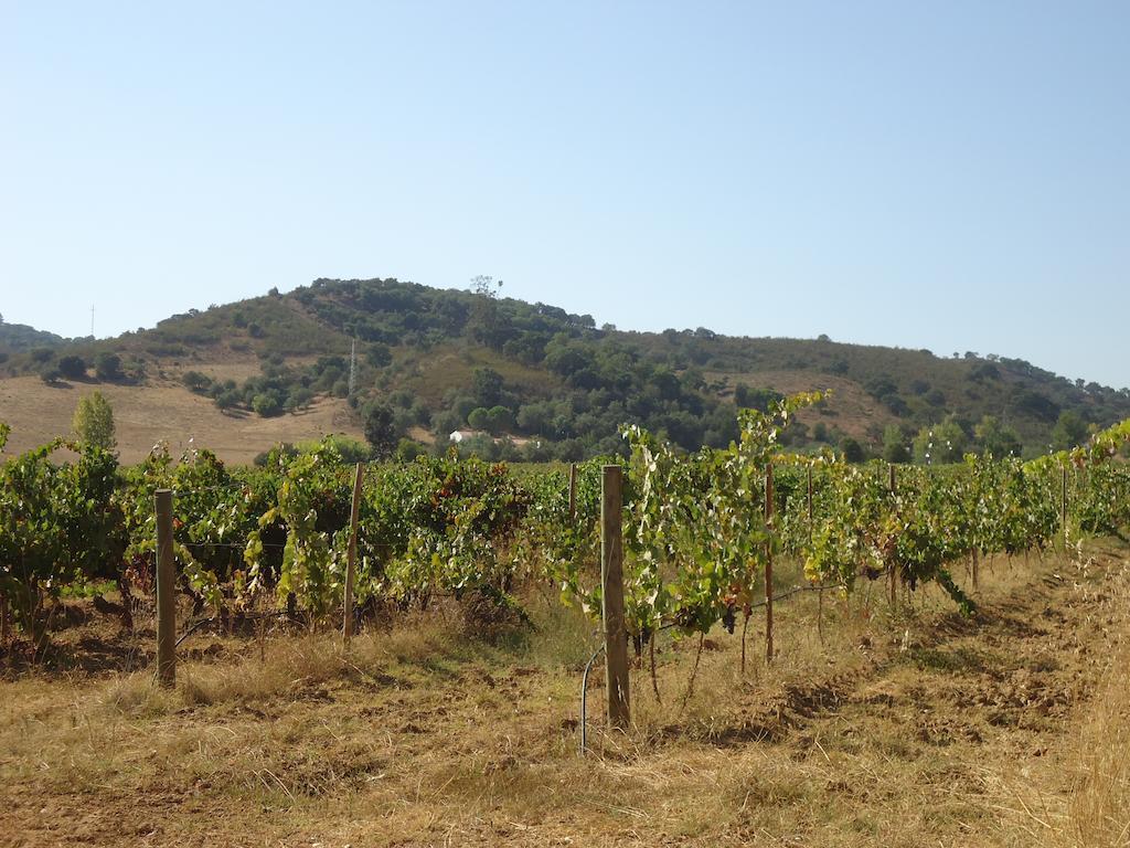 Herdade Dos Montes Bastos Santa Luzia (Ourique)