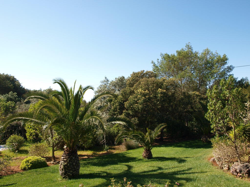 Casa Fortuna