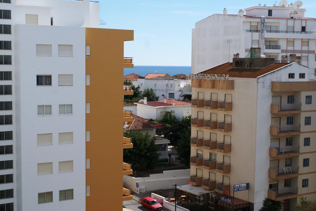 Gaivota Mar 902