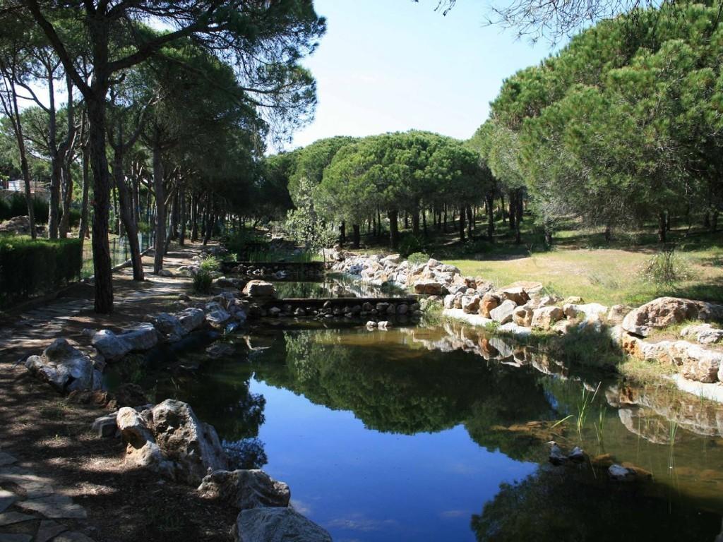 Algarve Altura