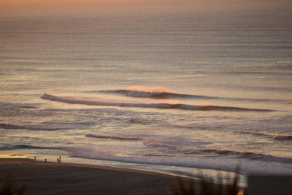 Hotel Surfers