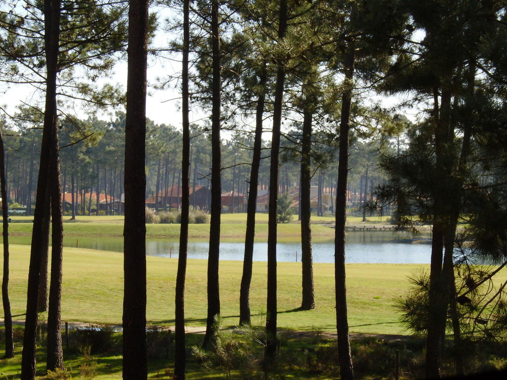 Apartment Aroeira Golf View *