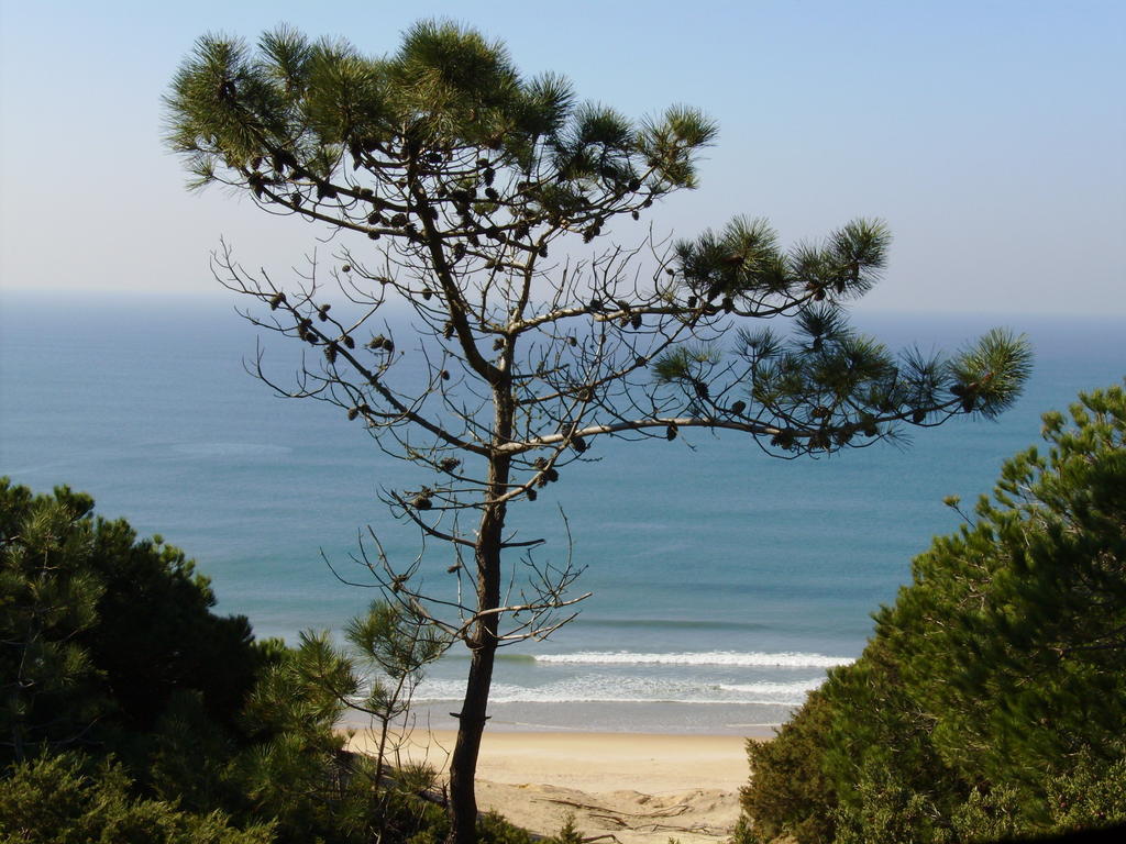 Aroeira Golf View Charneca (Setubal)