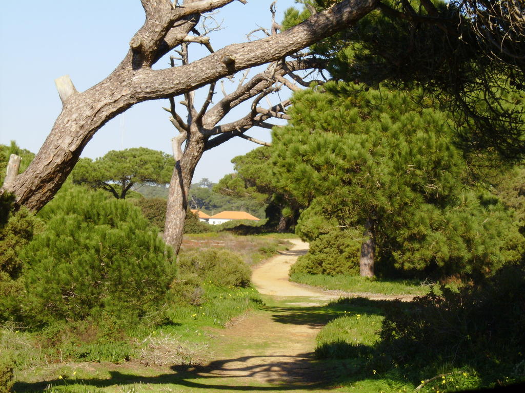Apartment Aroeira Golf View
