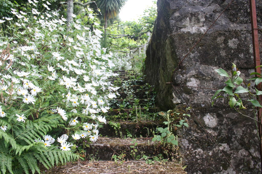 Casa de férias Quinta Leiras *