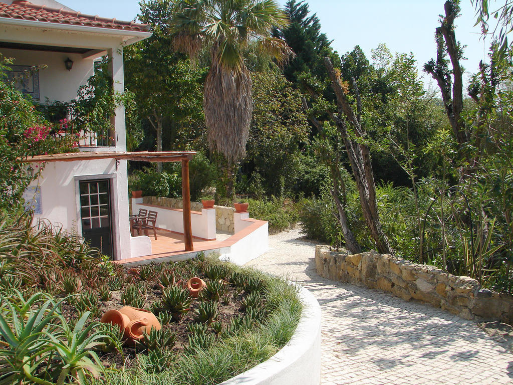 Quinta -