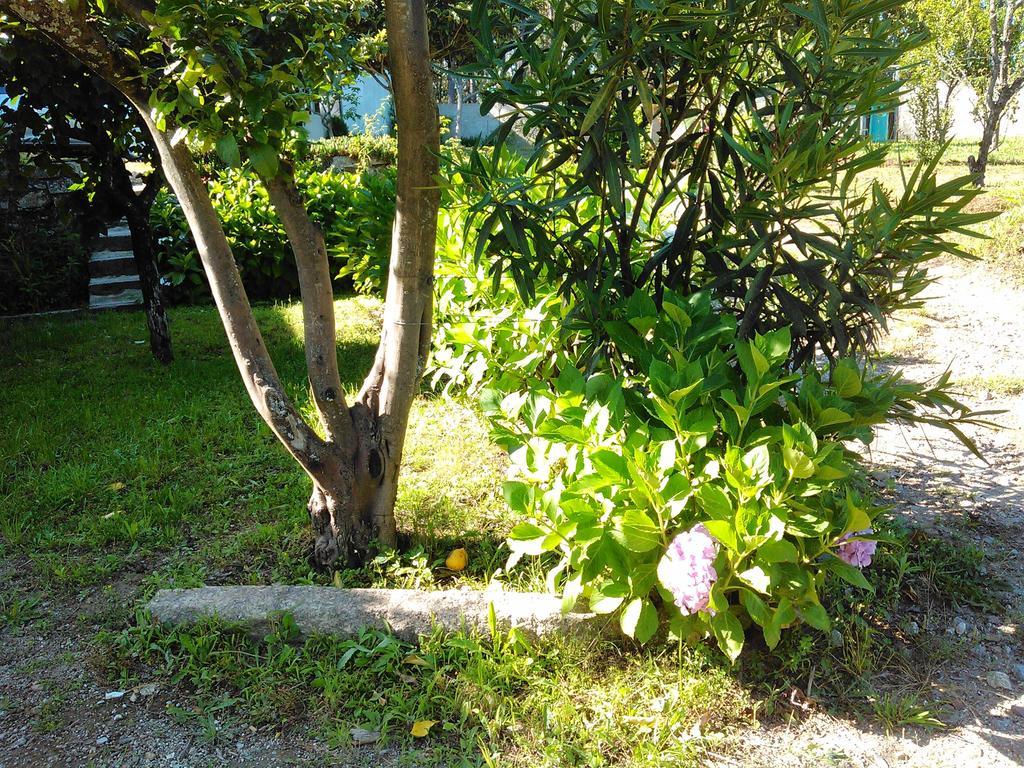 Holiday home Casa Do Fiscal