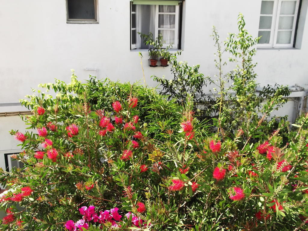 Guest house Residencial Carvalho