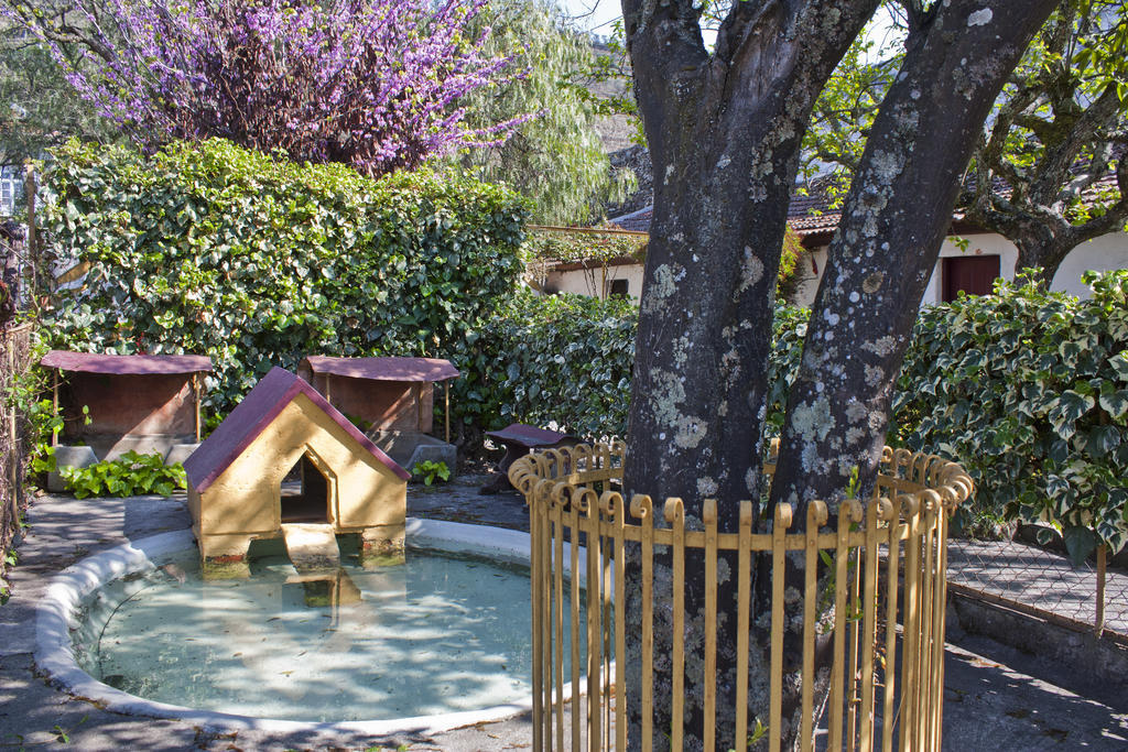 Farm stay Casa D' Alem *