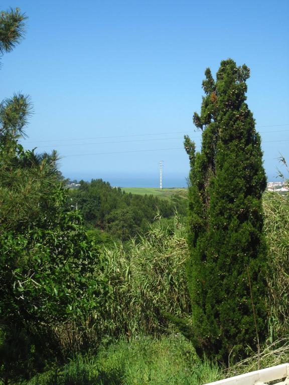 Chácara Quinta Alfazemas