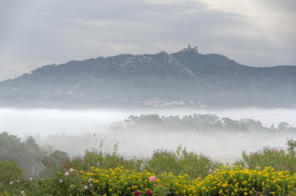 Quinta -