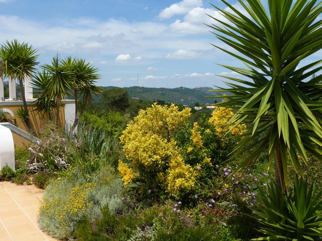 Casa rural Casal Oliveiras *
