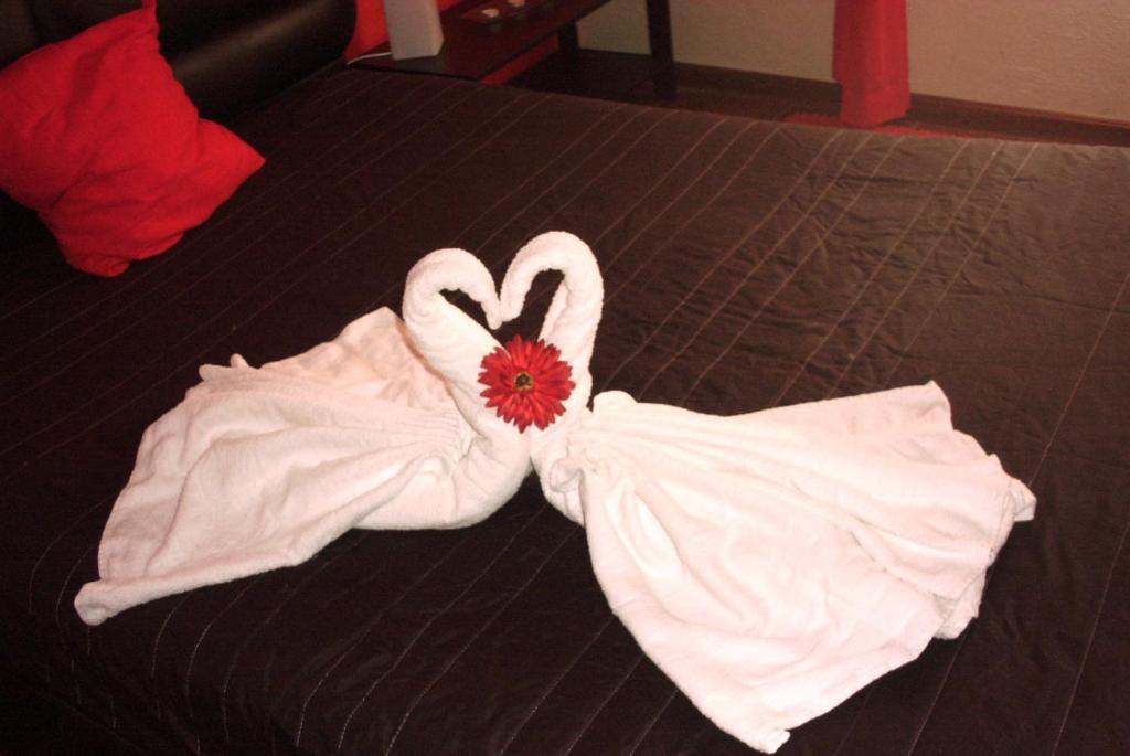 Guest house Alojamentos Leitao Seia