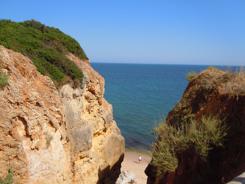 Jardins Do Mar