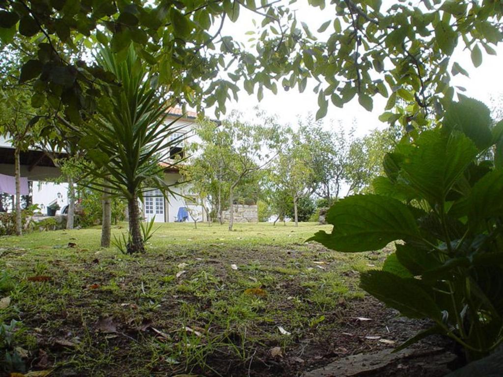 Farm stay Casa Boavista