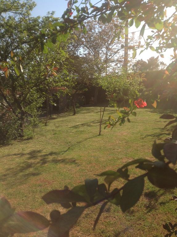 Farm stay Casa Boavista Paredes de Coura
