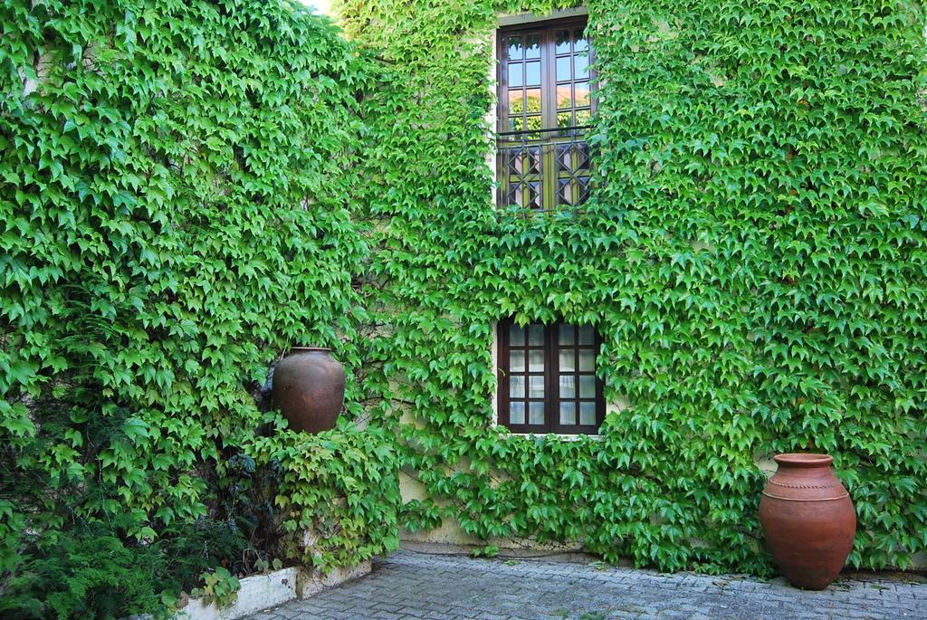 Casa de hóspedes Rio Natural Vila Nova de Milfontes