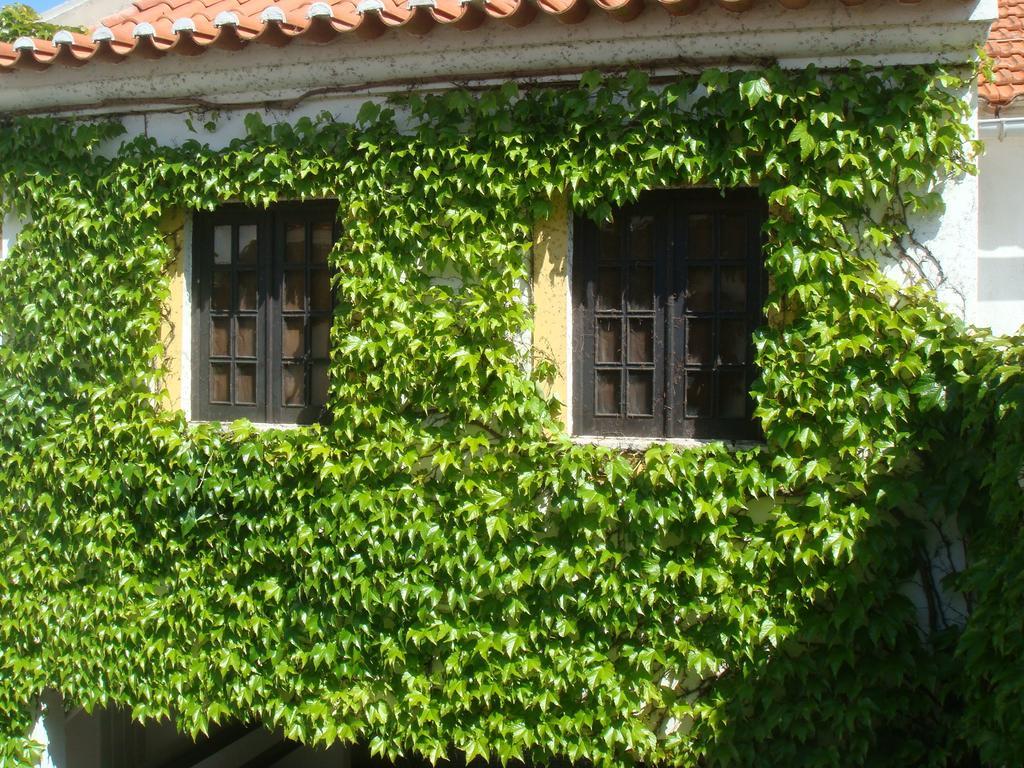 Rio Natural Vila Nova de Milfontes