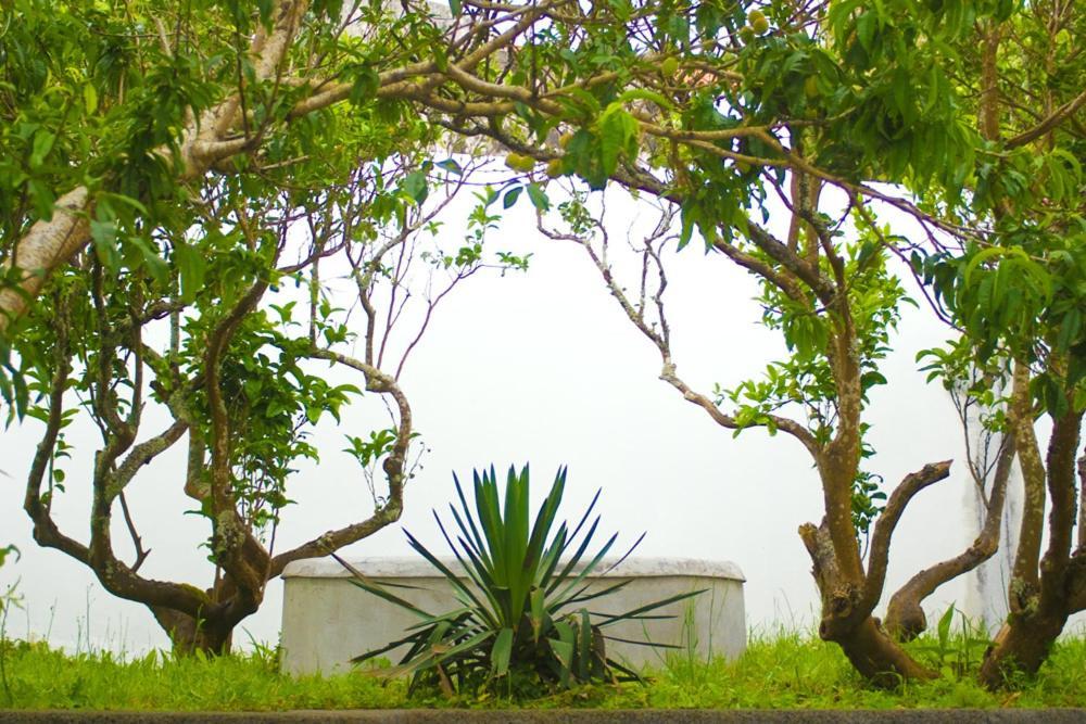 Casa Do Comendador