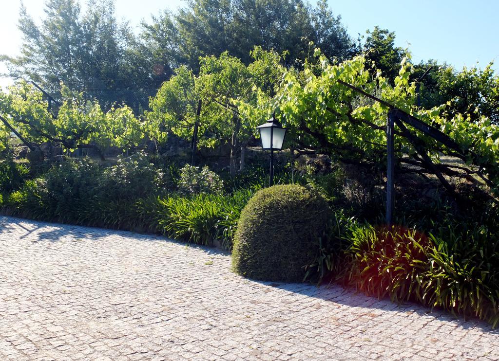 Holiday home Family Secrets Douro *
