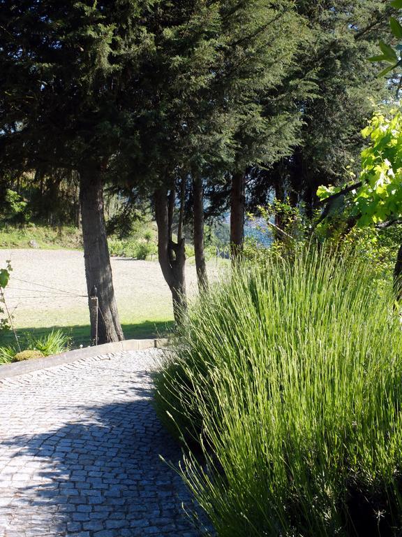 Holiday home Family Secrets Douro Ribadouro