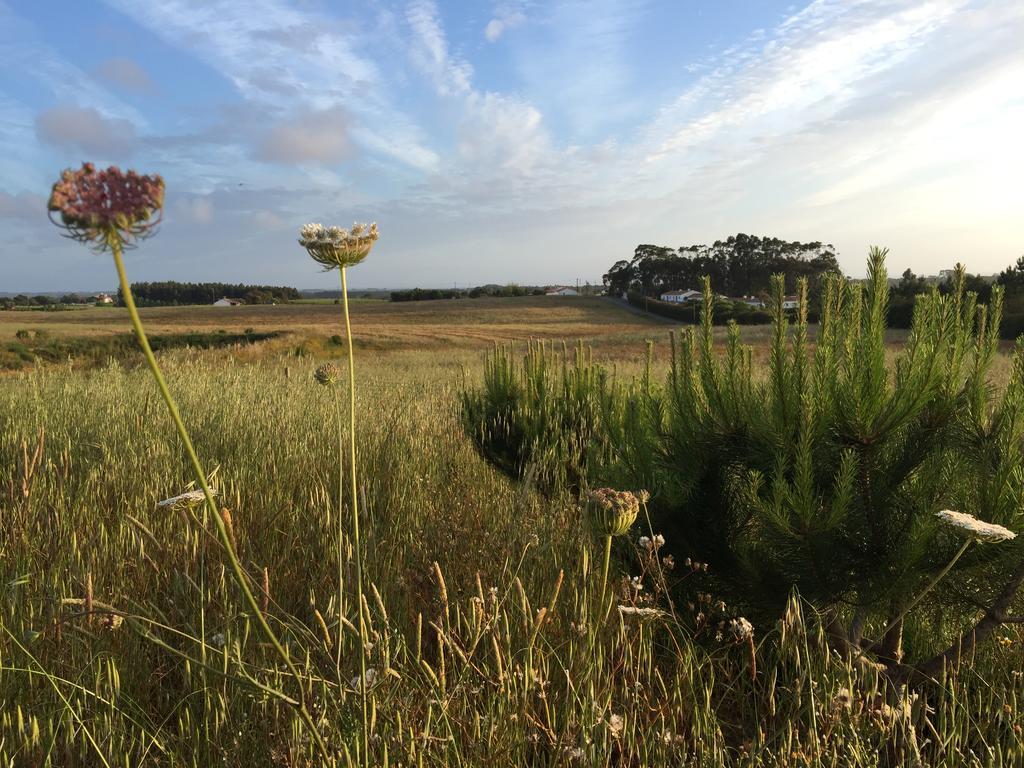 Bed & Breakfast Cerca Do Sul