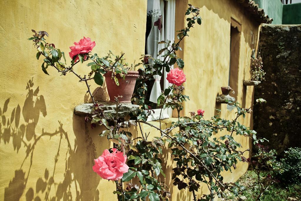 Guest house Margarida's Place Mafra